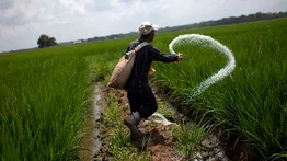 PepsiCo impulsa en Venezuela su programa Agro con Propósito