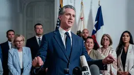 ley-electoral-gavin-newson-california