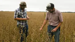 Rancho de EE. UU. busca trabajadores extranjeros: la vacante que ofrece $18 la hora y alojamiento gratis