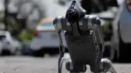 Presentan nuevo perro robot que protege a los animales: conoce todas sus funciones avanzadas aquí 