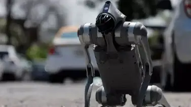 Presentan nuevo perro robot que protege a los animales: conoce todas sus funciones avanzadas aquí Presentan nuevo perro robot que protege a los animales: conoce todas sus funciones avanzadas aquí