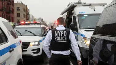 Fatal tiroteo en partido de baloncesto deja varias víctimas: un hombre lucha por su vida Fatal tiroteo en partido de baloncesto deja varias víctimas: un hombre lucha por su vida