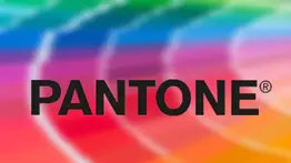 Artista latino rompe las reglas: recibe un certificado de color