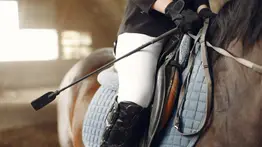 2001online - Venezuela- Equitación