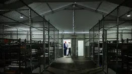 “Nos encadenaban al suelo por 12 horas”: el estremecedor relato de un argentino deportado de Alligator Alcatraz