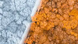 Otoño 2025 en Estados Unidos: este es el preocupante pronóstico de la NOAA