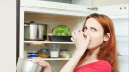 No es un basurero, es tu refrigerador: conoce los trucos sencillos y milagrosos para que nunca huela mal tu nevera