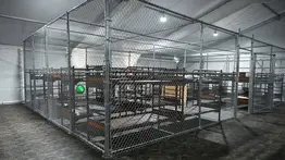¿El fin de la polémica? Este será el futuro de Alligator Alcatraz según un funcionario