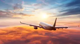 Aerolínea venezolana busca personal: conoce las vacantes disponibles