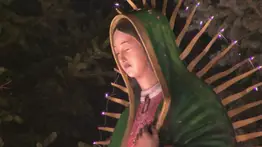 Virgen de Guadalupe peregrina comienza gira histórica en Chicago: estas son las próximas paradas