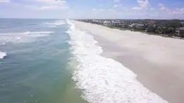 ponte vedra beach florida playa especie peligro de extinción usa