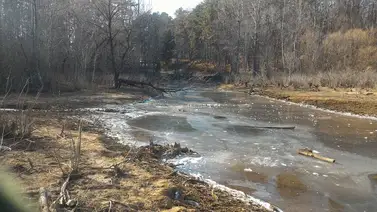 2001ONLINE - USA - SEQUÍA ESTADOS UNIDOS 2001ONLINE - USA - SEQUÍA ESTADOS UNIDOS