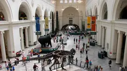 ¡Imperdible! ¿Cuáles museos podrás visitar gratis en Chicago este otoño?