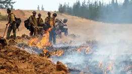 Ni los héroes se salvan de las redadas: así fue el arresto de dos bomberos forestales mientras apagaban un incendio en Washington