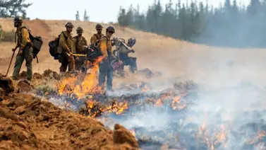 Ni los héroes se salvan de las redadas: así fue el arresto de dos bomberos forestales mientras apagaban un incendio en Washington Ni los héroes se salvan de las redadas: así fue el arresto de dos bomberos forestales mientras apagaban un incendio en Washington