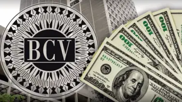 Precio del dólar y euro BCV para el 1 de septiembre: así se cotizan las divisas Precio del dólar y euro BCV para el 1 de septiembre: así se cotizan las divisas