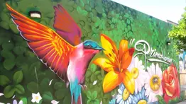 Inicia actividades la escuela muralista en San Agustín: conozca qué tipo de formación ofrecen