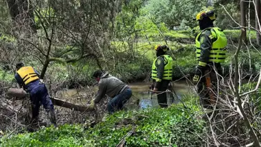 Hallan sin vida a niña colombiana que estuvo 18 días desaparecida: ¿qué hipótesis maneja la policía? Hallan sin vida a niña colombiana que estuvo 18 días desaparecida: ¿qué hipótesis maneja la policía?