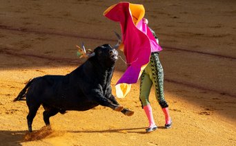 Tragedia en Portugal: fallece joven torero y reaviva el debate sobre la tauromaquia