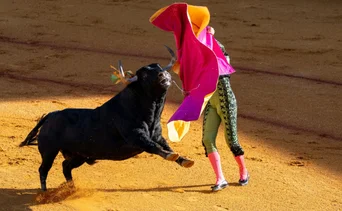 Tragedia en Portugal: fallece joven torero y reaviva el debate sobre la tauromaquia
