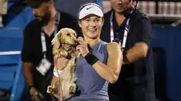 Tierno momento en el US Open: un perrito roba el show y se vuelve viral
