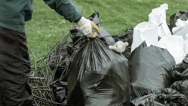 Recolección y disposición de basura en Miami-Dade Recolección y disposición de basura en Miami-Dade