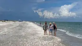 Hallazgo del cerdo marino: extraña criatura que asustó a los bañistas de Florida pero que cumple una función clave 