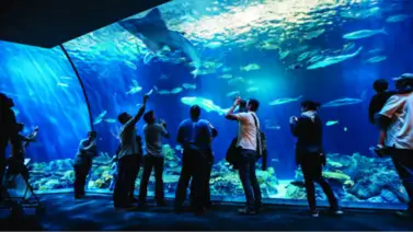 Museos en Chicago: días con entrada gratis la primera semana de agosto Museos en Chicago: días con entrada gratis la primera semana de agosto