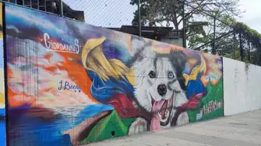 EN IMÁGENES: vuelve a ser vandalizado el mural de Tsunami en menos de 48 horas EN IMÁGENES: vuelve a ser vandalizado el mural de Tsunami en menos de 48 horas
