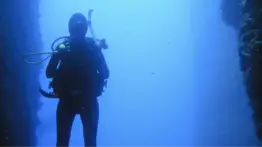 Enfrentamiento en la temporada de pesca:&nbsp;imputan a marinero por tratar de asfixiar a un joven bajo el agua