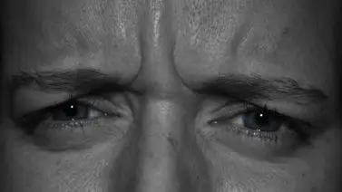Las cejas: Esos arcos protectores y marcos de la expresividad humana Las cejas: Esos arcos protectores y marcos de la expresividad humana