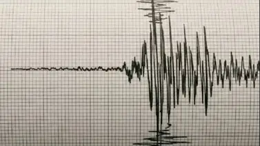 Sismo Colombia: ¿Cuántas réplicas van y por qué la tierra no deja de temblar en Chocó? Sismo Colombia: ¿Cuántas réplicas van y por qué la tierra no deja de temblar en Chocó?