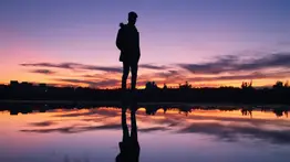 El nicho emocional: la necesidad de espacios de validación en la salud mental actual