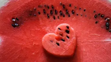 Salud cardiovascular: sencillos hábitos que sostienen la vida Salud cardiovascular: sencillos hábitos que sostienen la vida
