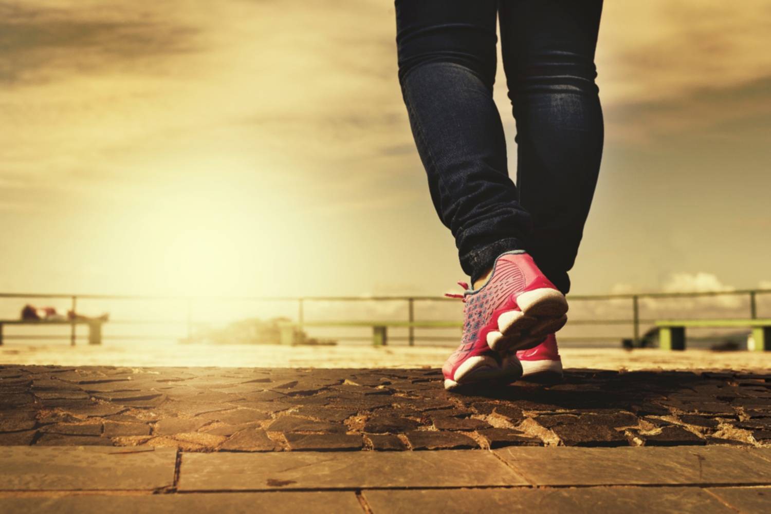 Salud cardiovascular: sencillos hábitos que sostienen la vida Salud cardiovascular: sencillos hábitos que sostienen la vida