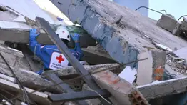 ¿Busca a un familiar en Colombia? Cruz Roja Venezolana ofrece orientación para contactarlo