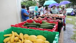 Dónde conseguir alimentos gratis en Nueva Jersey: lugares y horarios del 14 al 16 de agosto 