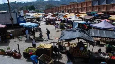 Precios del pescado en el Mercado de Coche: montos actualizados al 14 de agosto Precios del pescado en el Mercado de Coche: montos actualizados al 14 de agosto