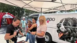 Misión Nevado anuncia jornada de esterilización en Caracas: conozca la fecha y cómo registrarse