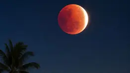 Eclipse de luna podrá verse desde Venezuela: conozca la fecha y hora del evento astronómico