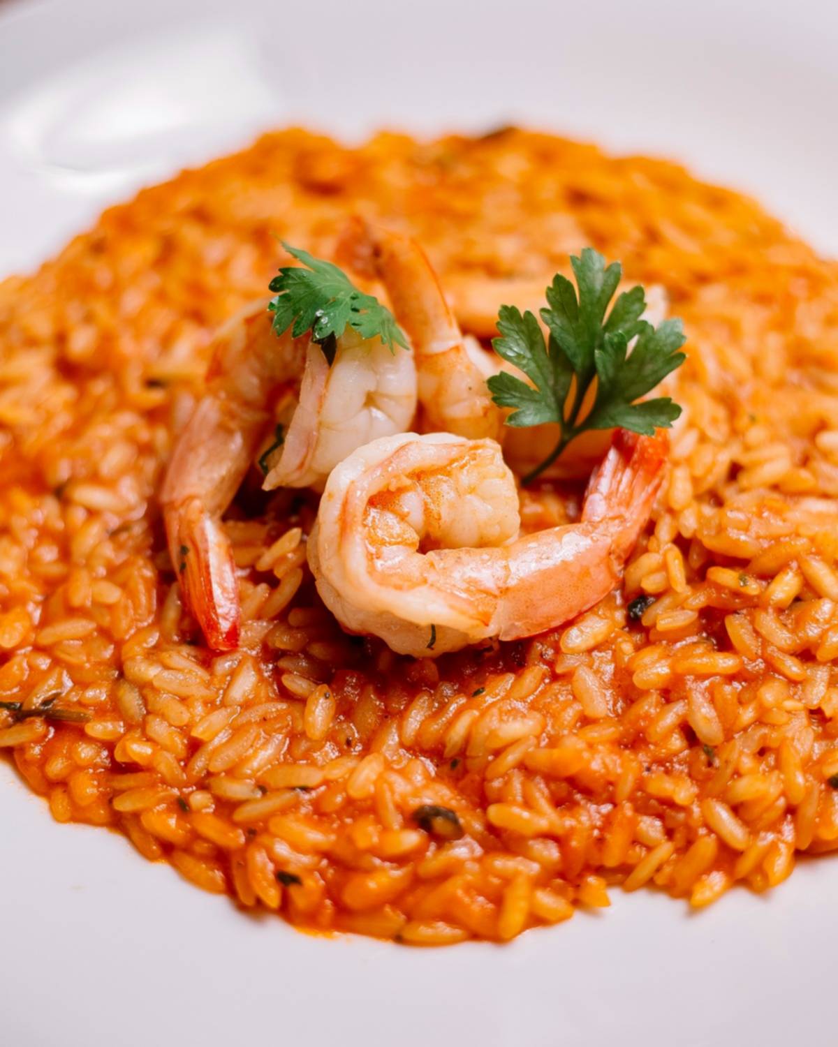 Mar y tierra en el plato: la alianza perfecta entre proteína y energía