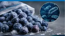 Alerta sanitaria en supermercados de Florida: Publix retira lotes de fruta congelada por e-coli