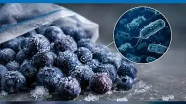 Alerta sanitaria en supermercados de Florida: Publix retira lotes de fruta congelada por e-coli Alerta sanitaria en supermercados de Florida: Publix retira lotes de fruta congelada por e-coli