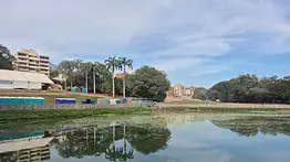Inician labores de extracción de caimanes ubicados en los campos de golf en La Guaira