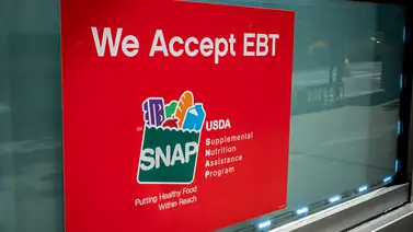 SNAP y nuevas exigencias laborales: padrón de inscritos cae 22% en Florida por ajustes de elegibilidad SNAP y nuevas exigencias laborales: padrón de inscritos cae 22% en Florida por ajustes de elegibilidad
