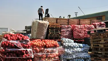 Gobierno afirma que Venezuela tiene reserva de alimentos para los próximos cuatro meses: detalles aquí Gobierno afirma que Venezuela tiene reserva de alimentos para los próximos cuatro meses: detalles aquí