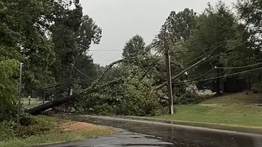 Apagón masivo en Memphis: ¿Cuándo vuelve la luz y qué pasará con las clases en las escuelas afectadas? Apagón masivo en Memphis: ¿Cuándo vuelve la luz y qué pasará con las clases en las escuelas afectadas?