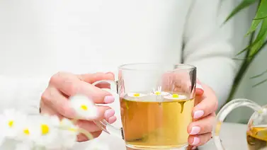 Infusiones con aval científico con efecto reconfortante Infusiones con aval científico con efecto reconfortante