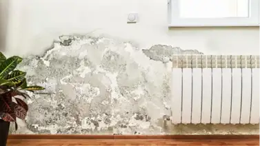 Una pared con humedad debe sanearse antes de su reparación: decorador aclara cómo lograrlo Una pared con humedad debe sanearse antes de su reparación: decorador aclara cómo lograrlo