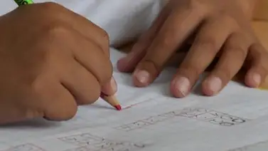 ¿Cuánto cuestan las tareas dirigidas?: beneficios de la asesoría académica en niños ¿Cuánto cuestan las tareas dirigidas?: beneficios de la asesoría académica en niños